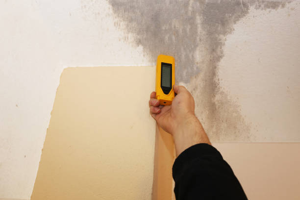 Best Indoor Air Quality Assessment  in Washoe Valley, NV