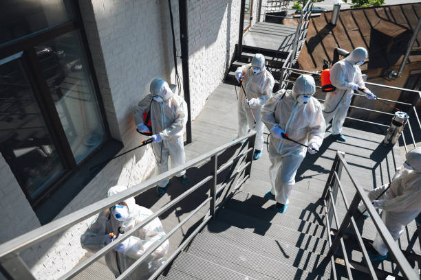 Mold Odor Removal Services in Washoe Valley, NV