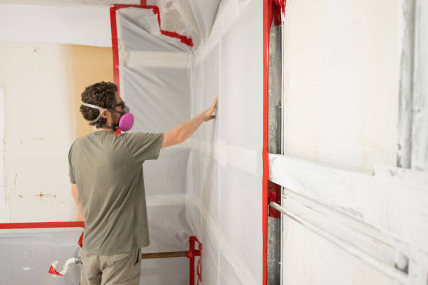 Best Attic Mold Removal  in Washoe Valley, NV