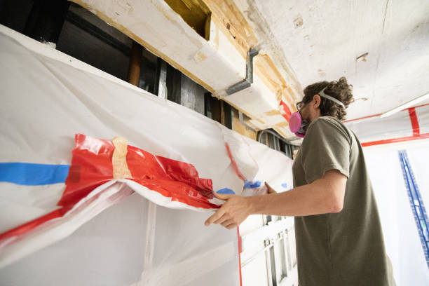 Best Post-Construction Mold Inspection  in Washoe Valley, NV