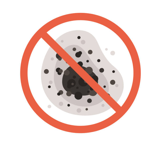Best Mold Odor Removal Services  in Washoe Valley, NV