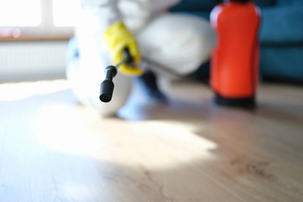 Best Forensic Mold Investigation  in Washoe Valley, NV